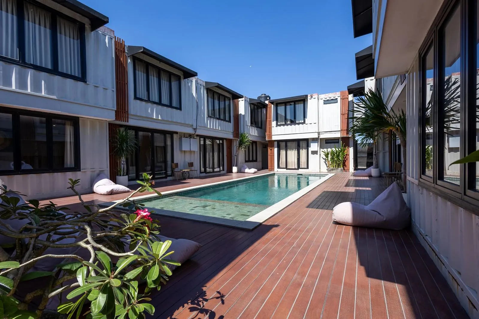 Frangipani in the foreground, the pool and suites behind